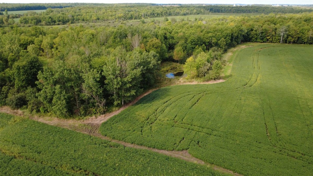 233482 Corinth Road, Athens WI 54411 - Residential house for sale - MLS #1604911 - image45