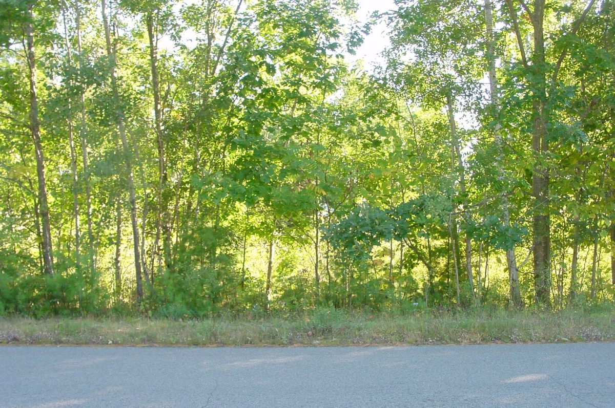 Lot 6 Mae West Road, Ladysmith WI 54848 - Land house for sale - MLS #1605333 - image14