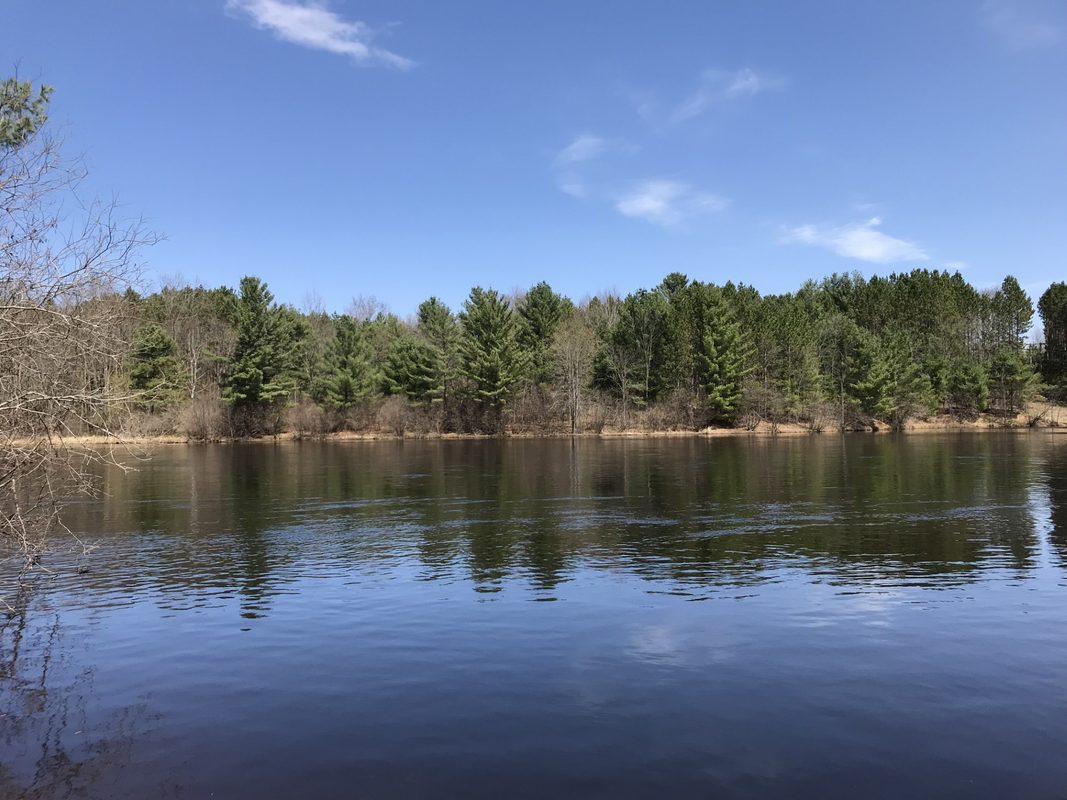 N3860 Kostka Road, Ladysmith WI 54848 - Land house for sale - MLS #1601876 - image7
