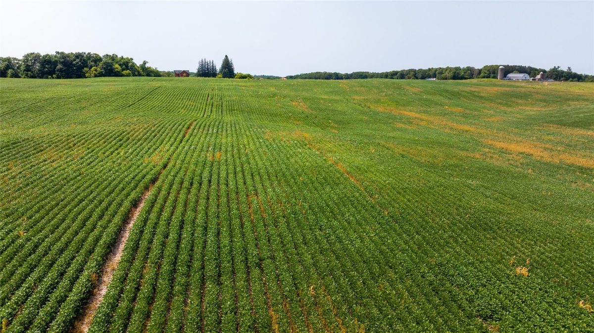 XXXX 190th Street, Centuria WI 54824 - Land house for sale - MLS #1605124 - image12