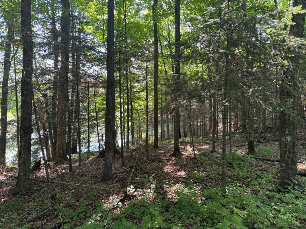 Lot 8 Crane Lane, Hayward WI 54843 - Land house for sale - MLS #1603375 - image21