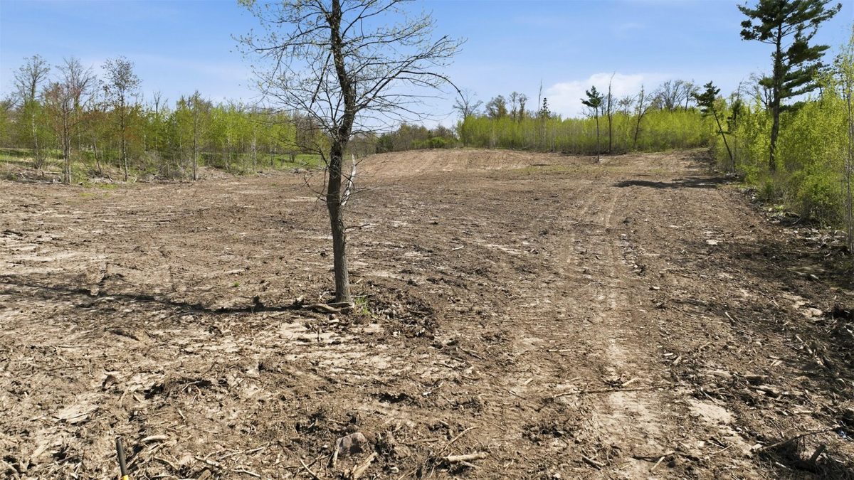 Lot 2 25th Street, Cameron WI 54822 - Land house for sale - MLS #1596800 - image14