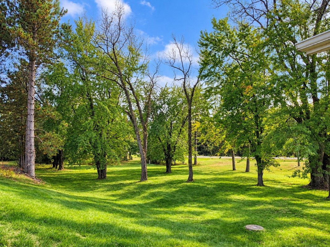 E 15535 Lincoln Dr Drive, Fall Creek WI 54742 - Residential house for sale - MLS #1605650 - image10