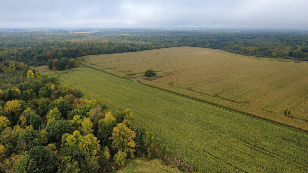 000 Miller Avenue, Owen WI 54460 - Land house for sale - MLS #1605509 - image8