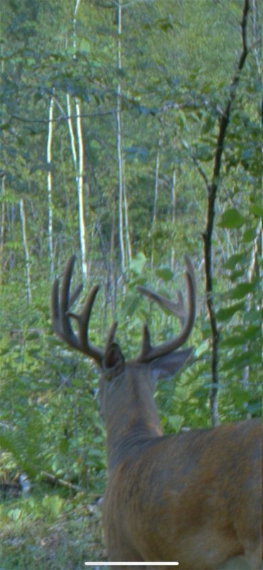 0 County Highway C, Rice Lake WI 54868 - Land house for sale - MLS #1605929 - image13