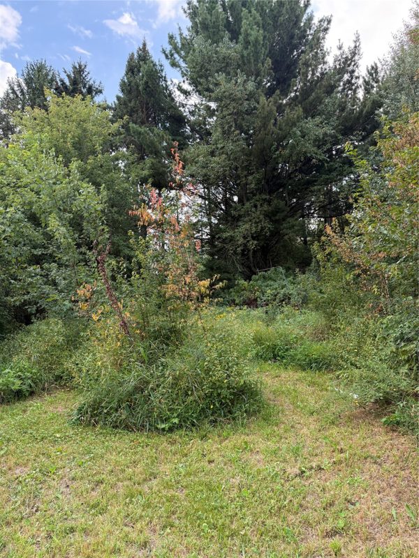 5956 County Hwy H, Stanley WI 54745 - Land house for sale - MLS #1604622 - image15
