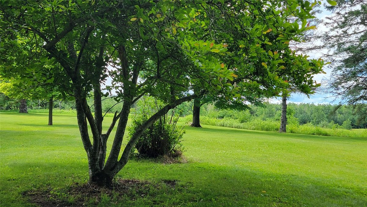 W7724 Bingham Road, Ladysmith, WI