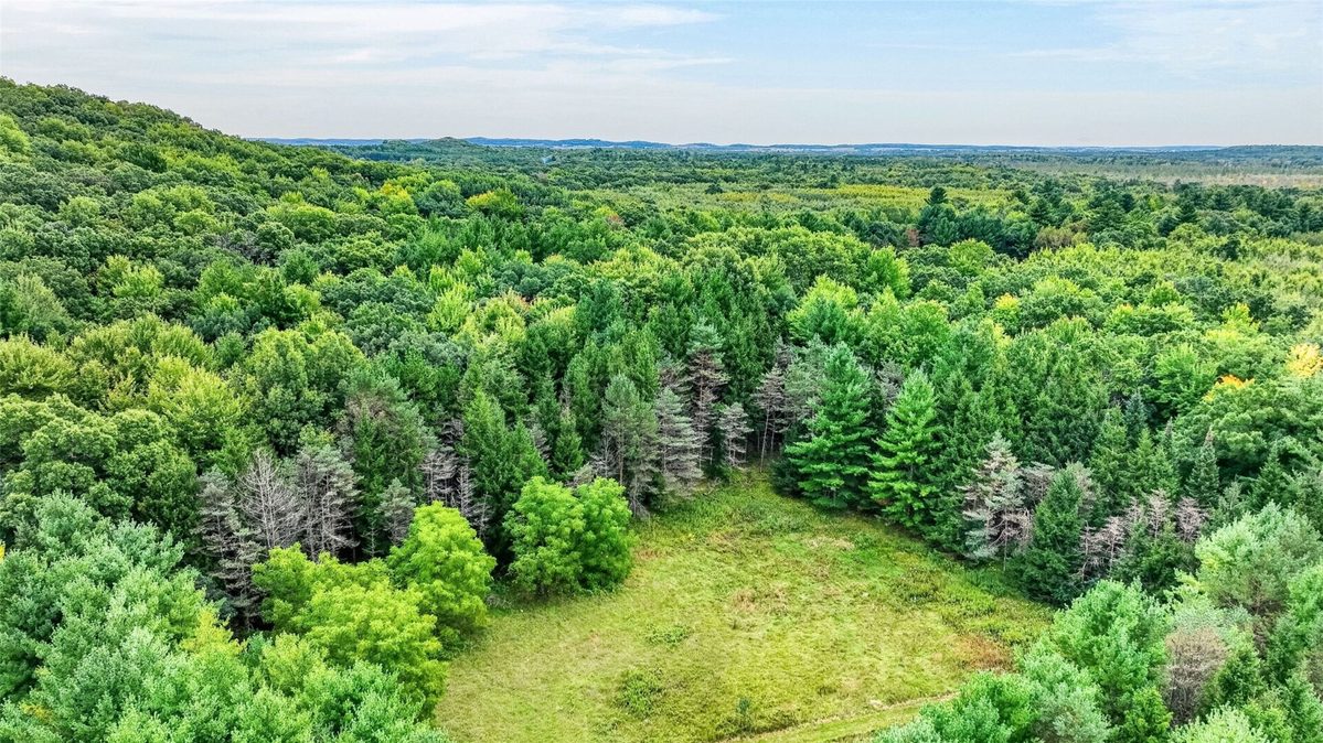 N9278 State Road 25, Colfax WI 54730 - Residential house for sale - MLS #1605396 - image7