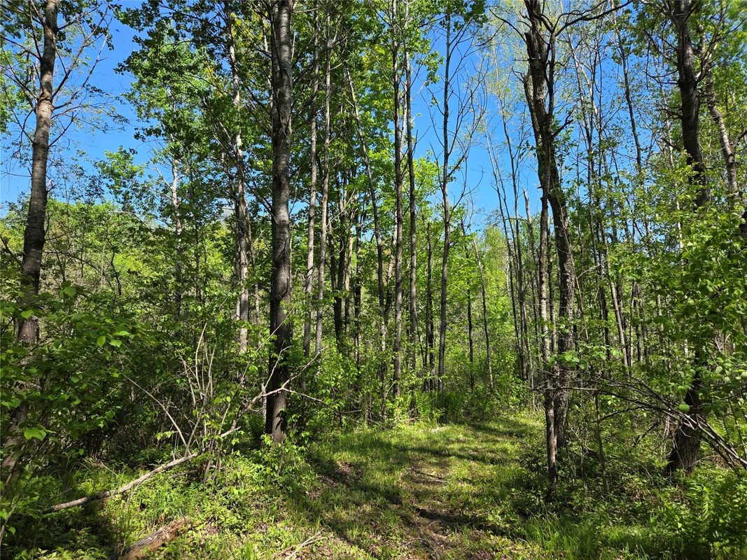 N6957 Lincoln Road, Bruce WI 54819 - Land house for sale - MLS #1604410 - image5