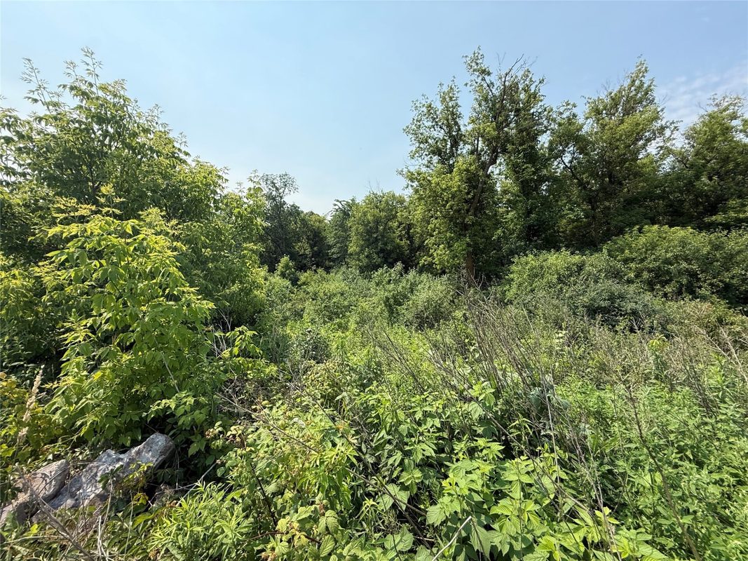 TBD US Highway 8, St Croix Falls WI 54024 - Land house for sale - MLS #1602834 - image6