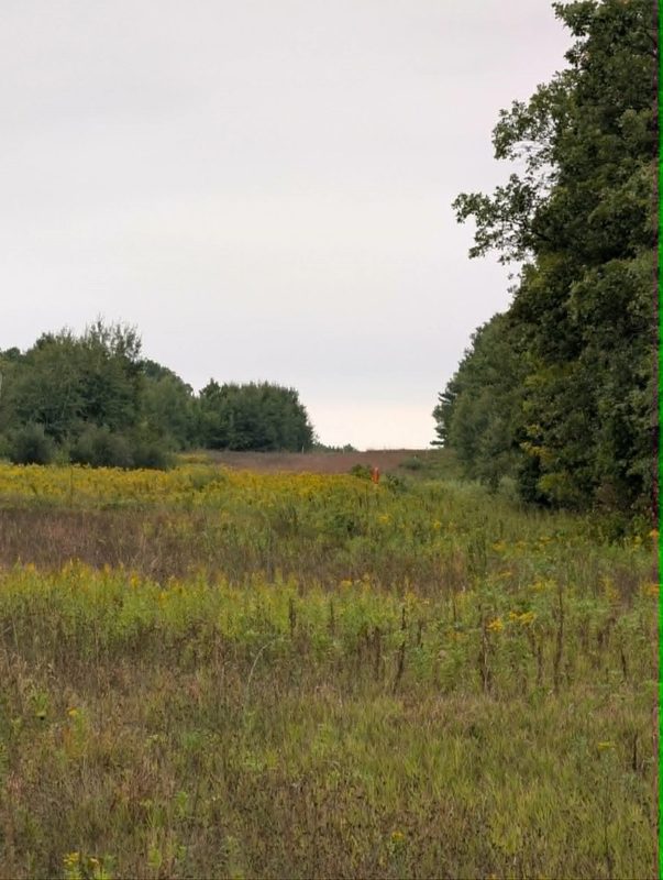 10501 County Hwy M Highway, Springbrook WI 54875 - Land house for sale - MLS #1604696 - image20