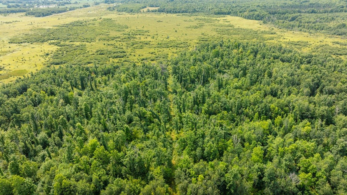 0 28th Street, Chetek WI 54728 - Land house for sale - MLS #1604329 - image9