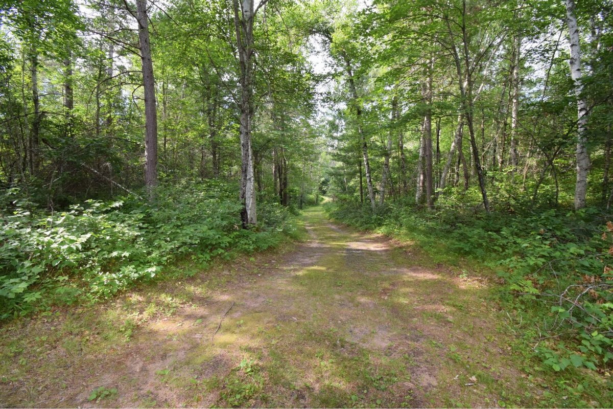 2749 Webb Lake Road, Webb Lake WI 54830 - Land house for sale - MLS #1603203 - image52