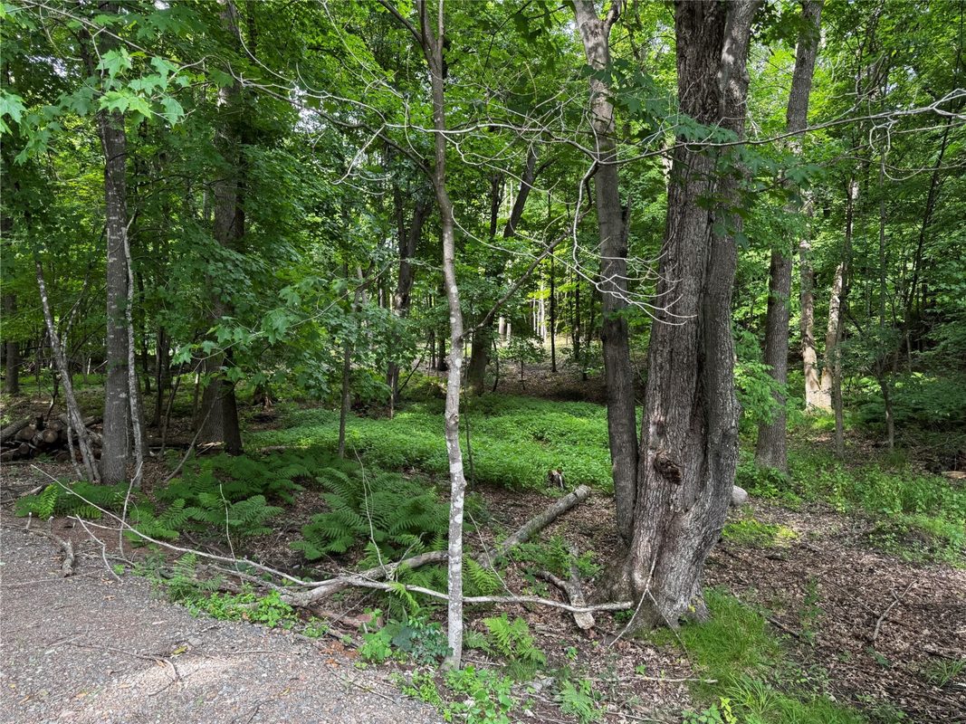 XXX County Road I, Balsam Lake WI 54810 - Land house for sale - MLS #1602879 - image14
