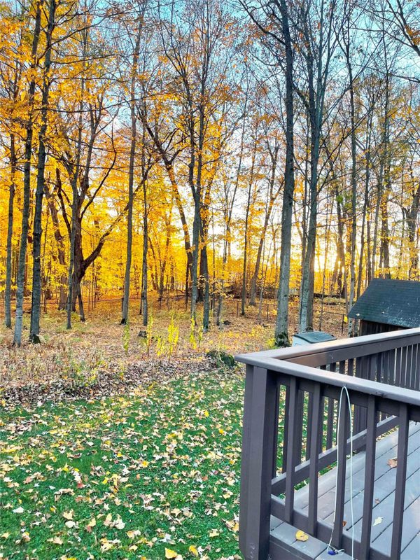 2756 28 1/8 Street, Birchwood WI 54817 - Residential house for sale - MLS #1598298 - image25