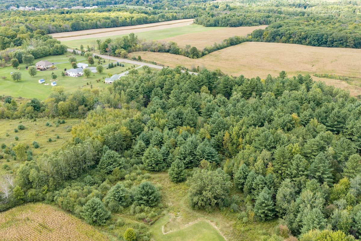 Lot 2 County Hwy X, Cadott WI 54727 - Land house for sale - MLS #1605345 - image6