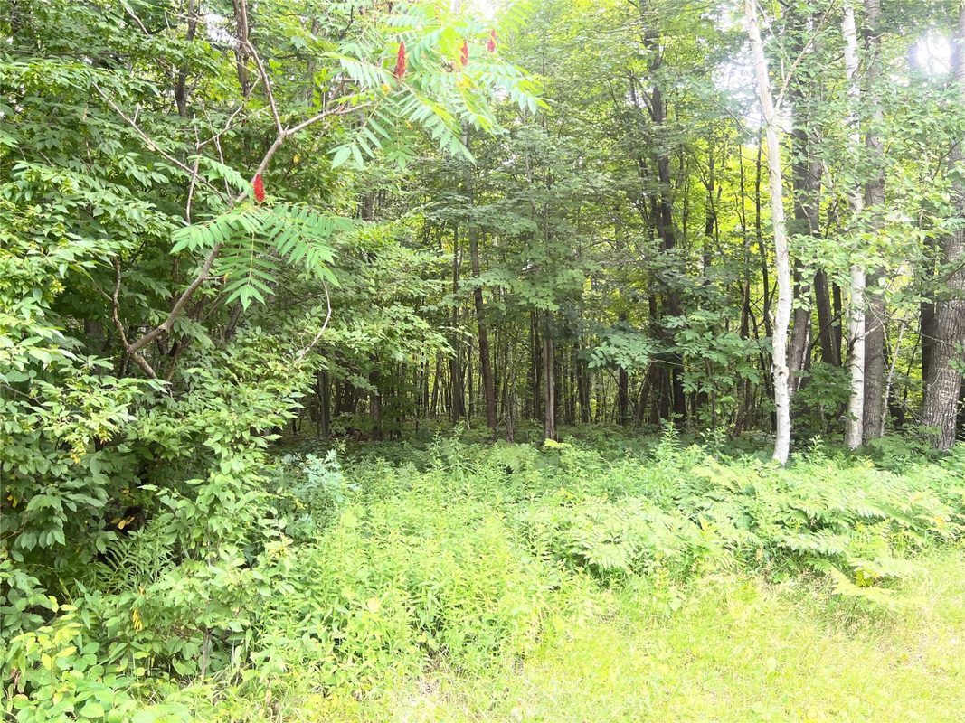 23871 Tollander Road, Siren WI 54872 - Residential house for sale - MLS #1603654 - image39