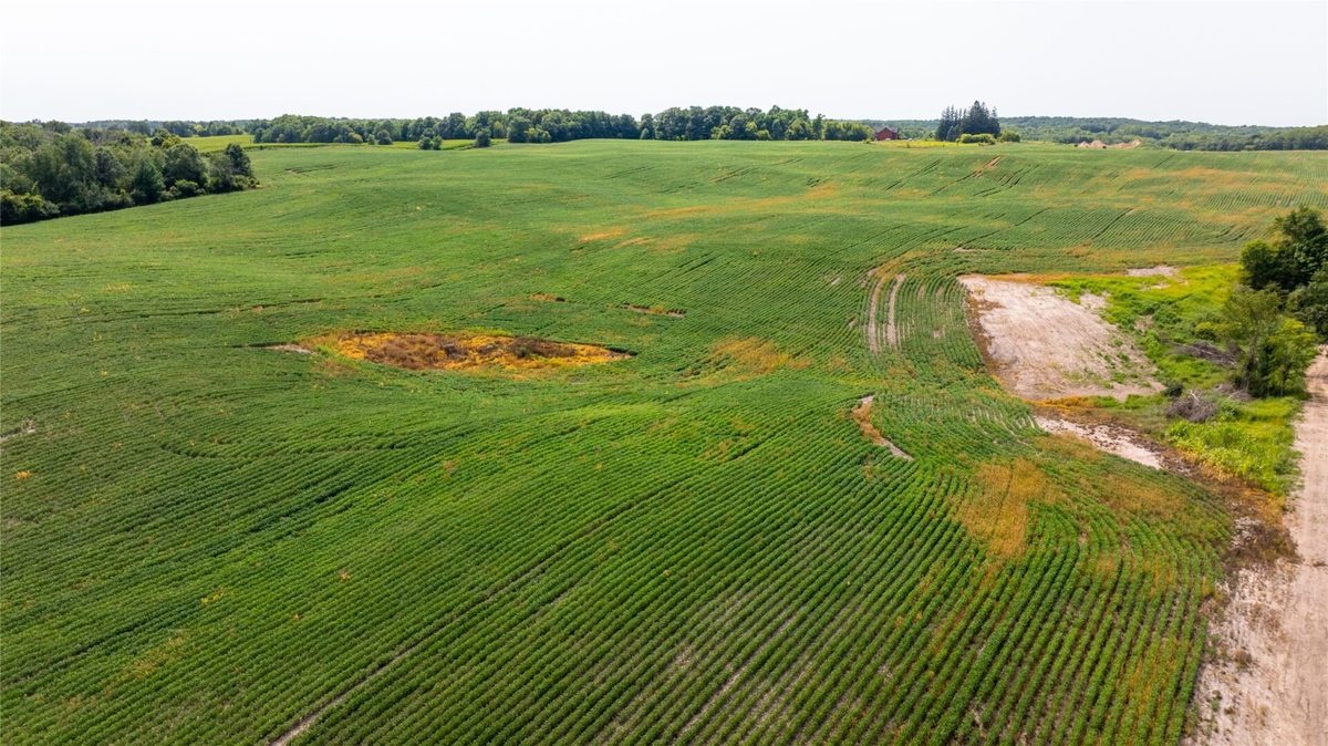 XXXX 190th Street, Centuria WI 54824 - Land house for sale - MLS #1605124 - image10