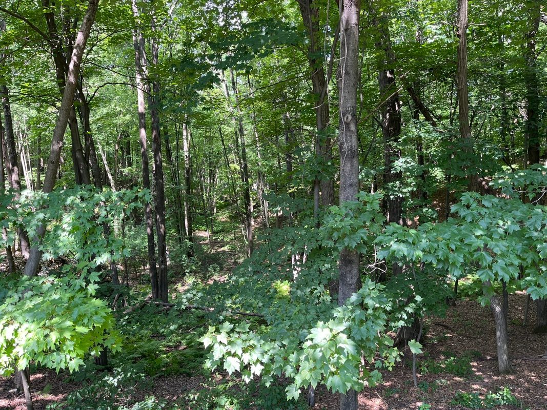 228 Oak Knoll Drive, Chippewa Falls WI 54729 - Residential house for sale - MLS #1602926 - image6