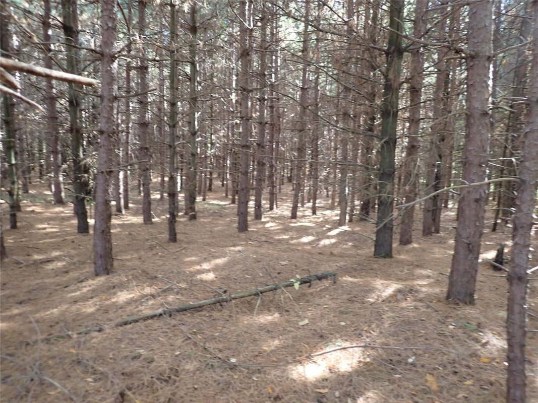 70.54 acres 26 1/2 St, Cumberland WI 54829 - Land house for sale - MLS #1605975 - image7