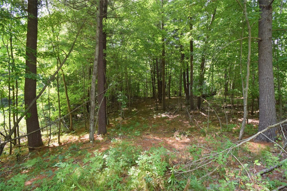 4646 Whitetail Path, Webster WI 54893 - Land house for sale - MLS #1604469 - image44
