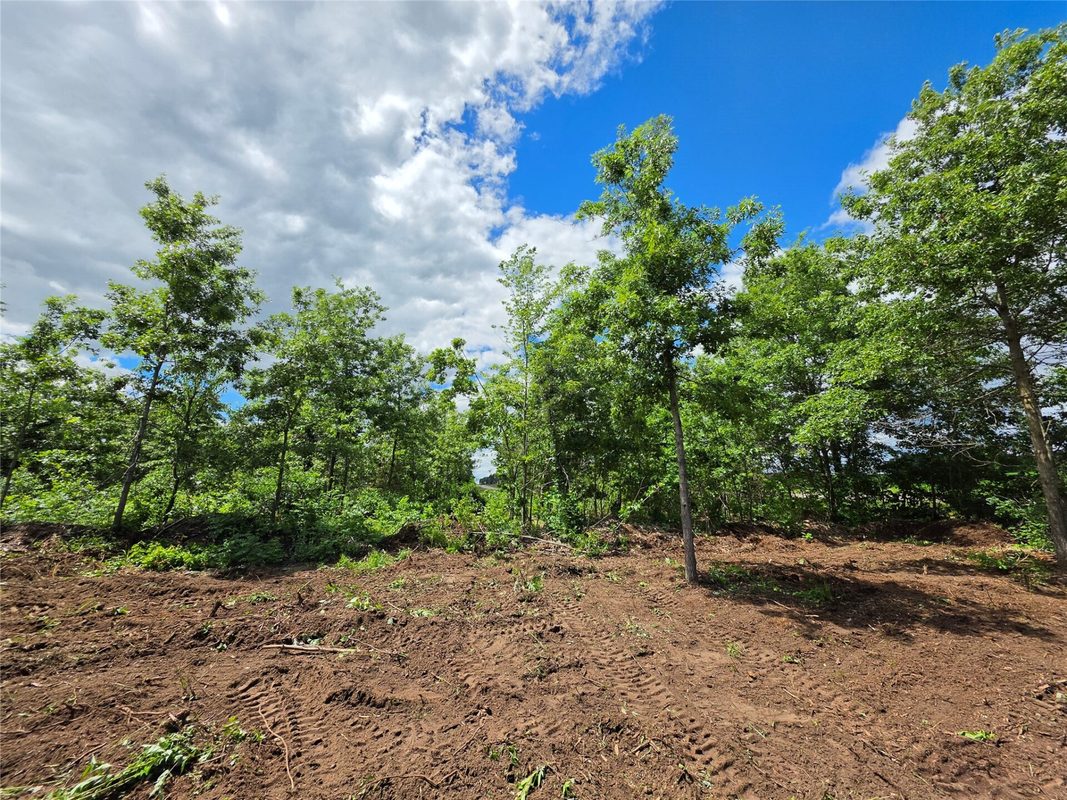 Lot 3 County Highway E, Elk Mound WI 54739 - Land house for sale - MLS #1600992 - image6