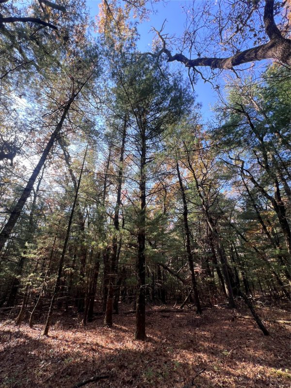 TBD Fish Drive, Grand Marsh WI 53936 - Land house for sale - MLS #1606229 - image18