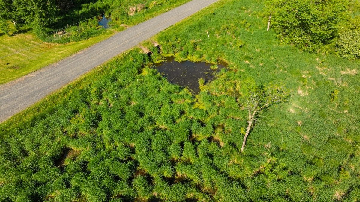 0 Nyes Road, Stanley WI 54768 - Land house for sale - MLS #1601802 - image17