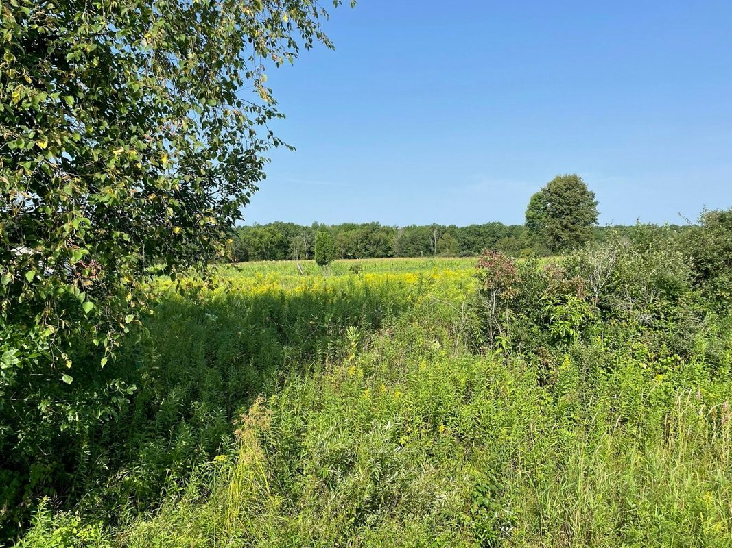 1768 290th Street, Cadott WI 54727 - Land house for sale - MLS #1598349 - image3