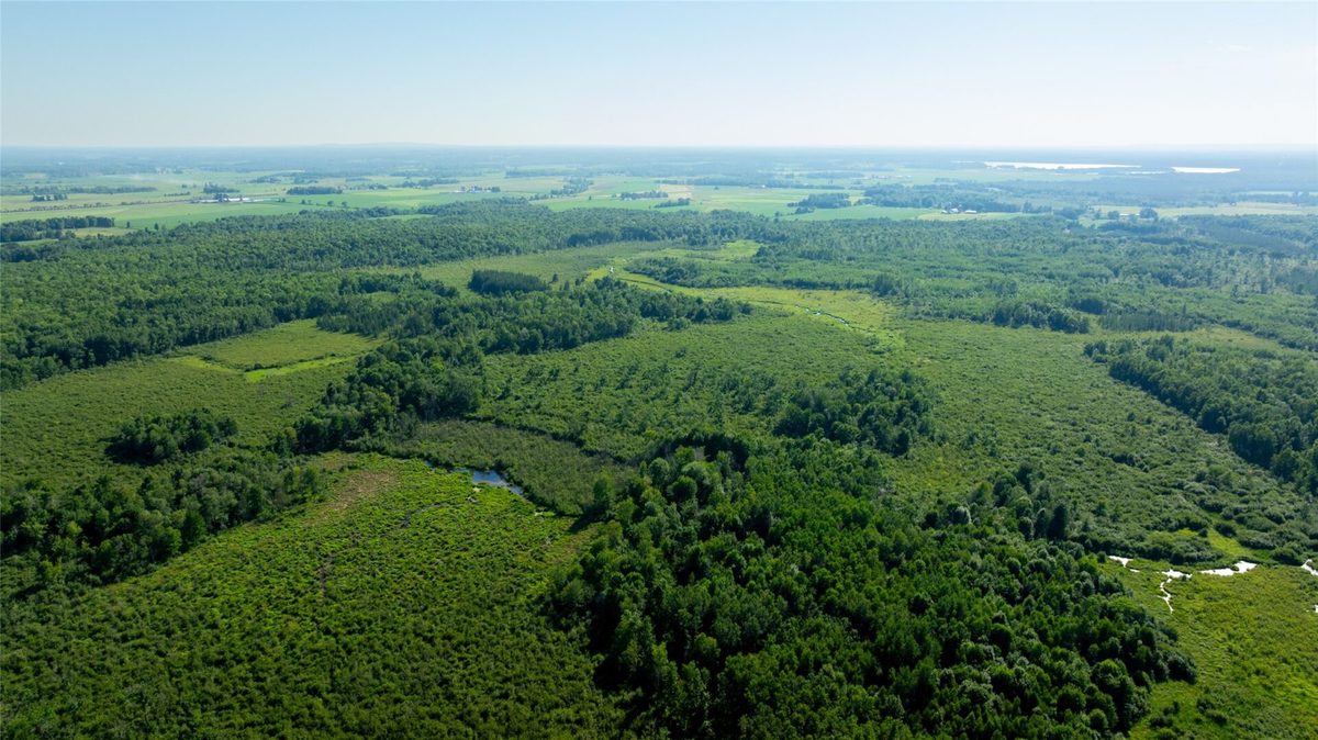 W5343 County Road X, Glen Flora WI 54526 - Land house for sale - MLS #1603306 - image3