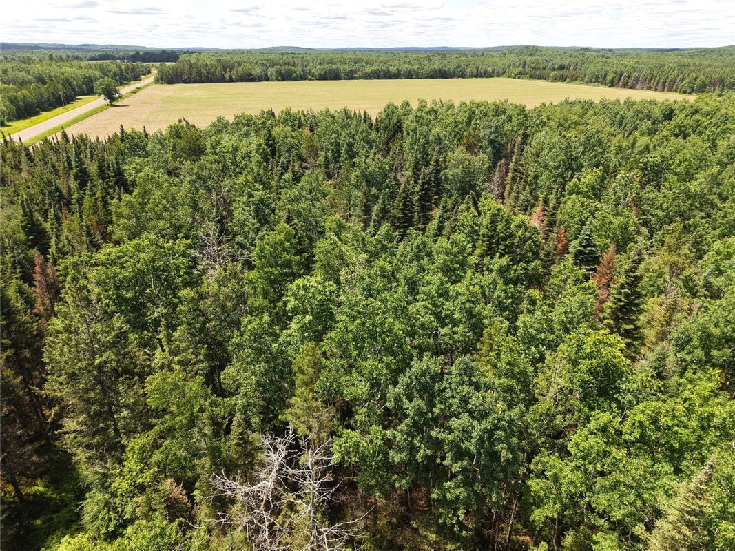 Lot 4 Main Road, Springbrook WI 54875 - Land house for sale - MLS #1602445 - image6
