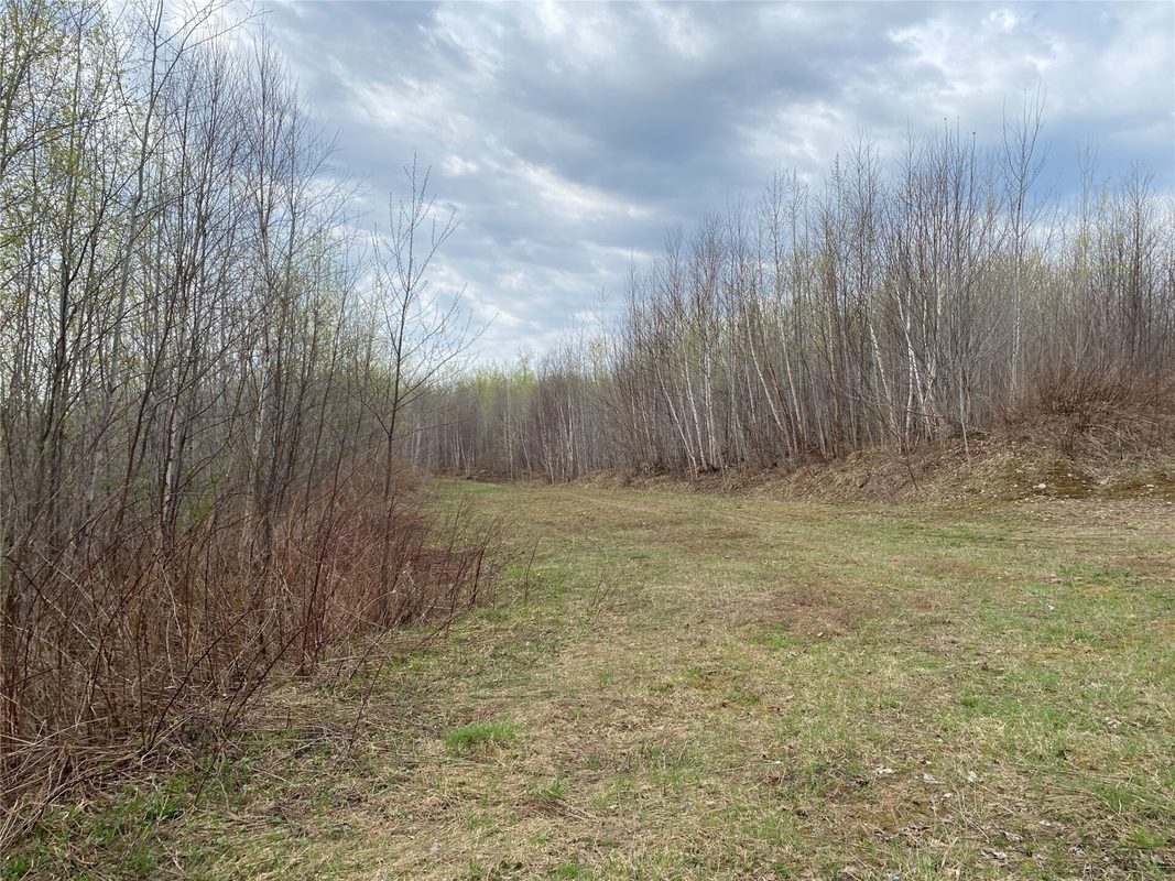 Near Wilson Lake Road Phillips WI 54555 — photo 4