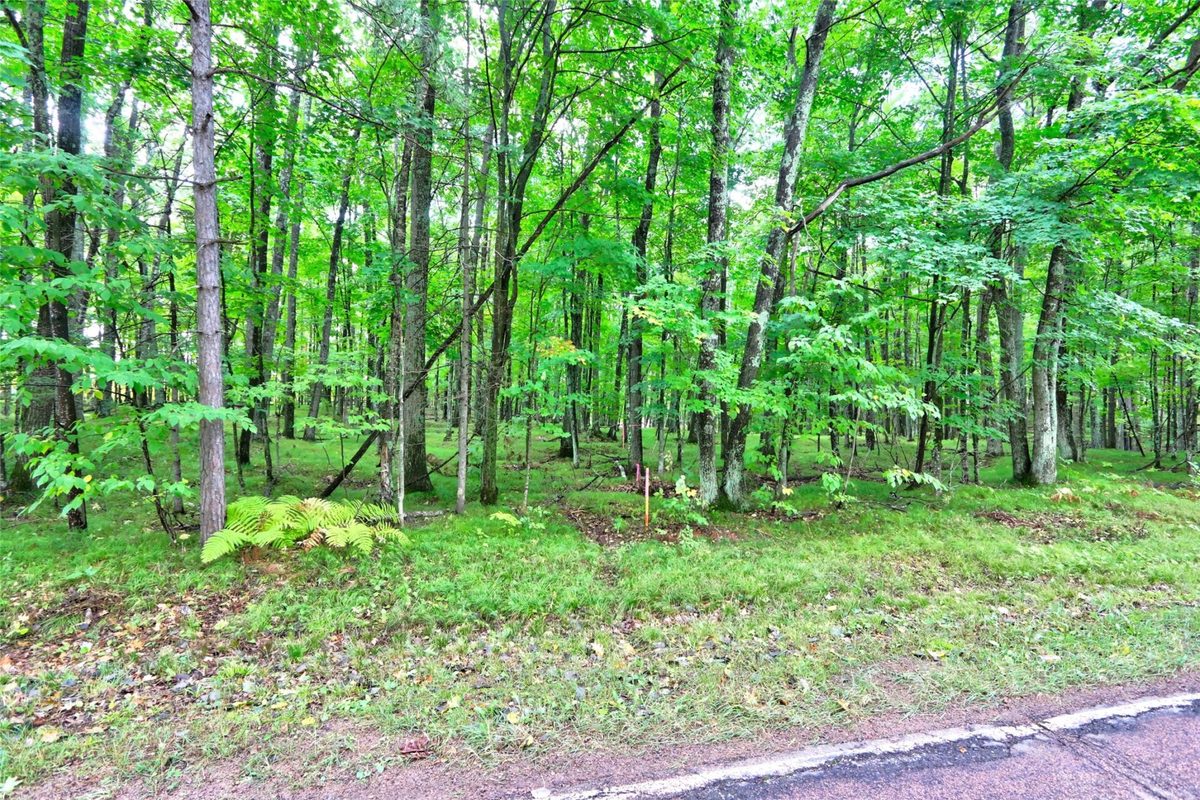 0 Twin Lake Road, Hayward WI 54843 - Land house for sale - MLS #1605254 - image8