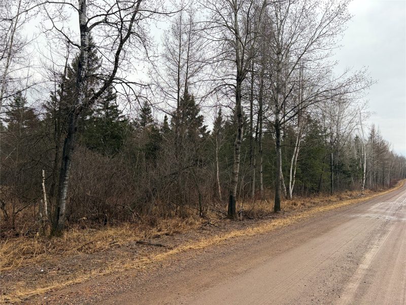 ON Sheep Camp Road