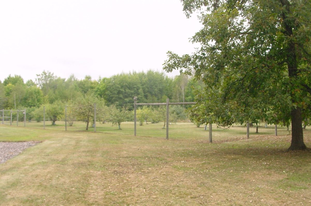 N5391 Hwy. 73, Ingram WI 54526 - Residential house for sale - MLS #1604886 - image51