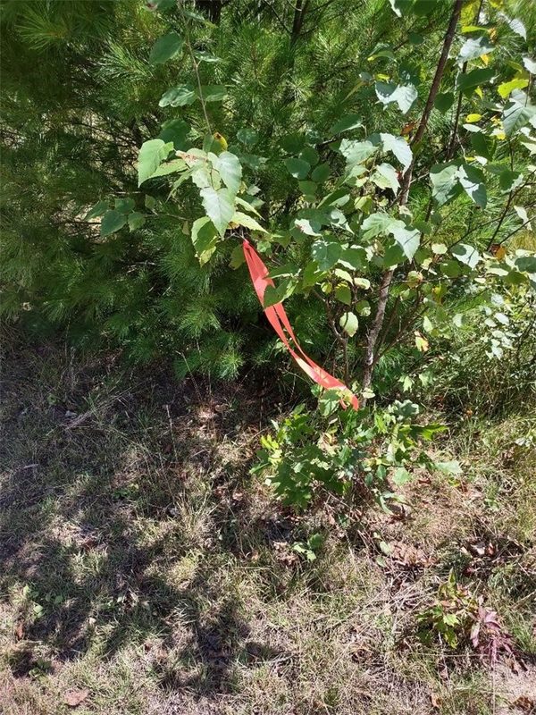 TBD Lot 7 10 1/4 Avenue, Chetek WI 54728 - Land house for sale - MLS #1595118 - image6