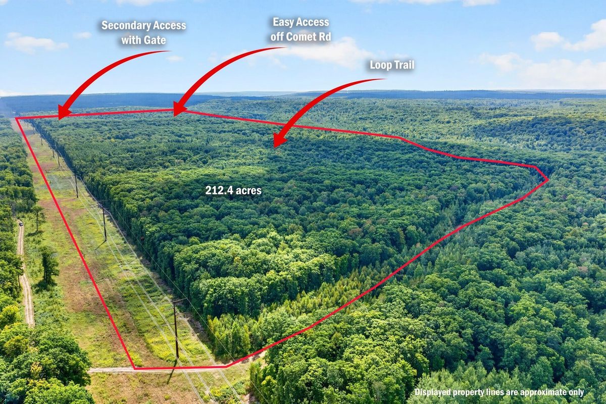 Block 2 Comet Road, Exeland WI 54835 - Land house for sale - MLS #1597542 - image21