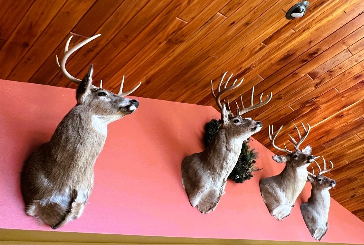 000 Pete Coulee Road, Taylor, WI — photo 3