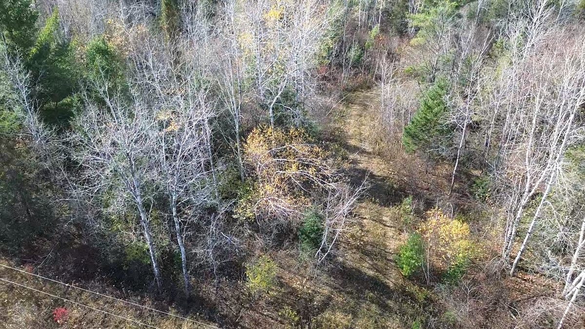 123XX W Jos R Chafer Road, Couderay WI 54828 - Land house for sale - MLS #1606292 - image3