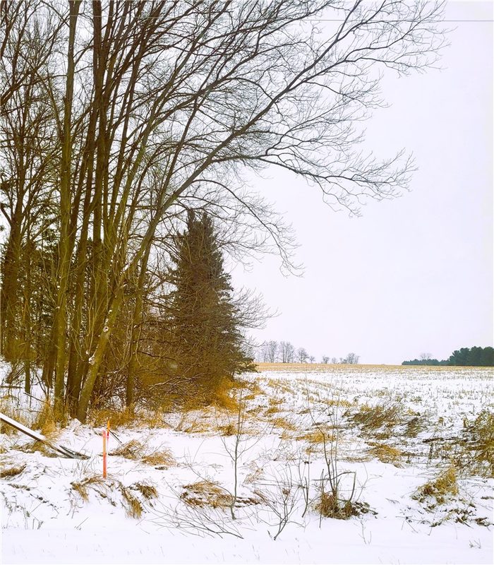 0000 County Hwy B Lot 4, Neillsville WI 54456 - Land house for sale - MLS #1597957 - image6