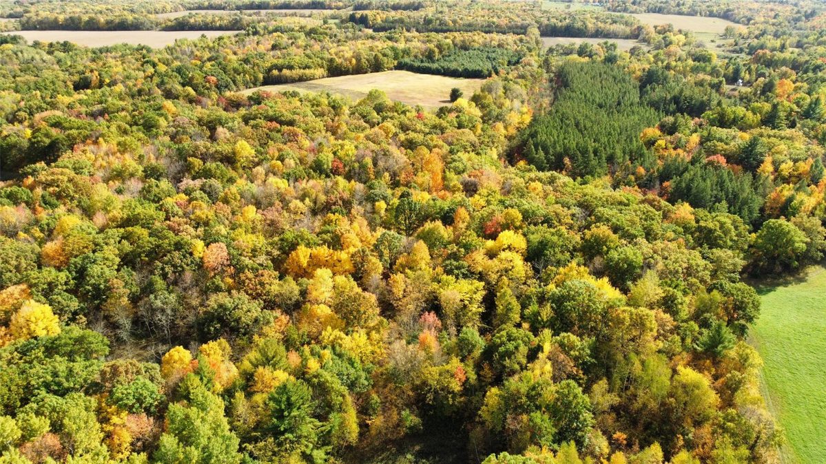 3461 56th, Frederic WI 54837 - Land house for sale - MLS #1605729 - image8