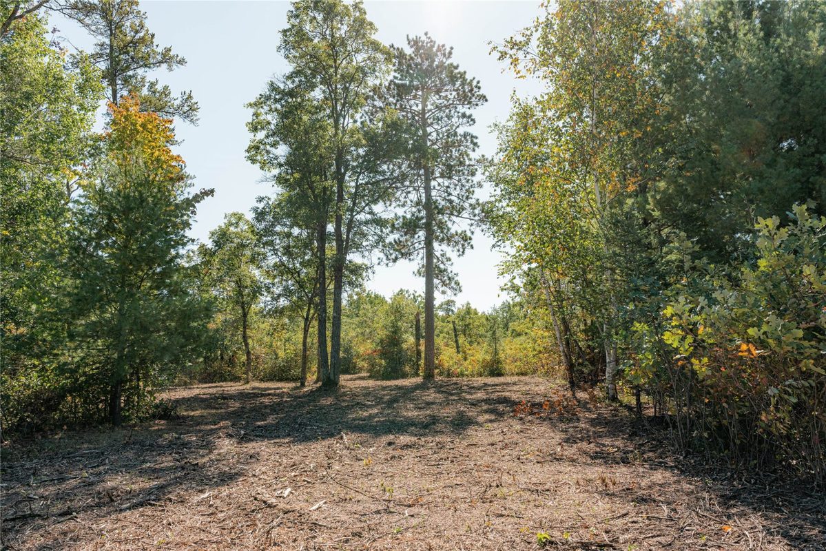 0 County Road T, Minong WI 54859 - Land house for sale - MLS #1605534 - image7