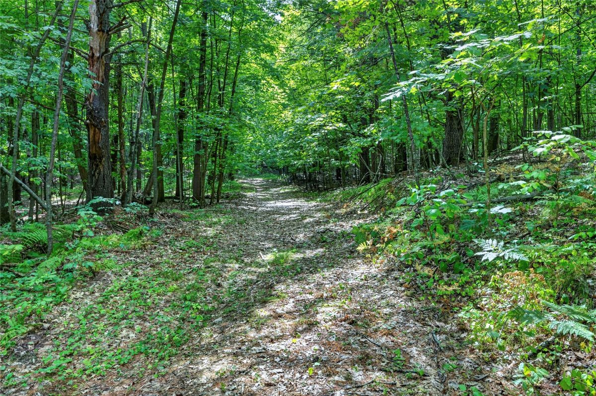 XXX County Hwy B, Shell Lake WI 54871 - Residential house for sale - MLS #1604550 - image20