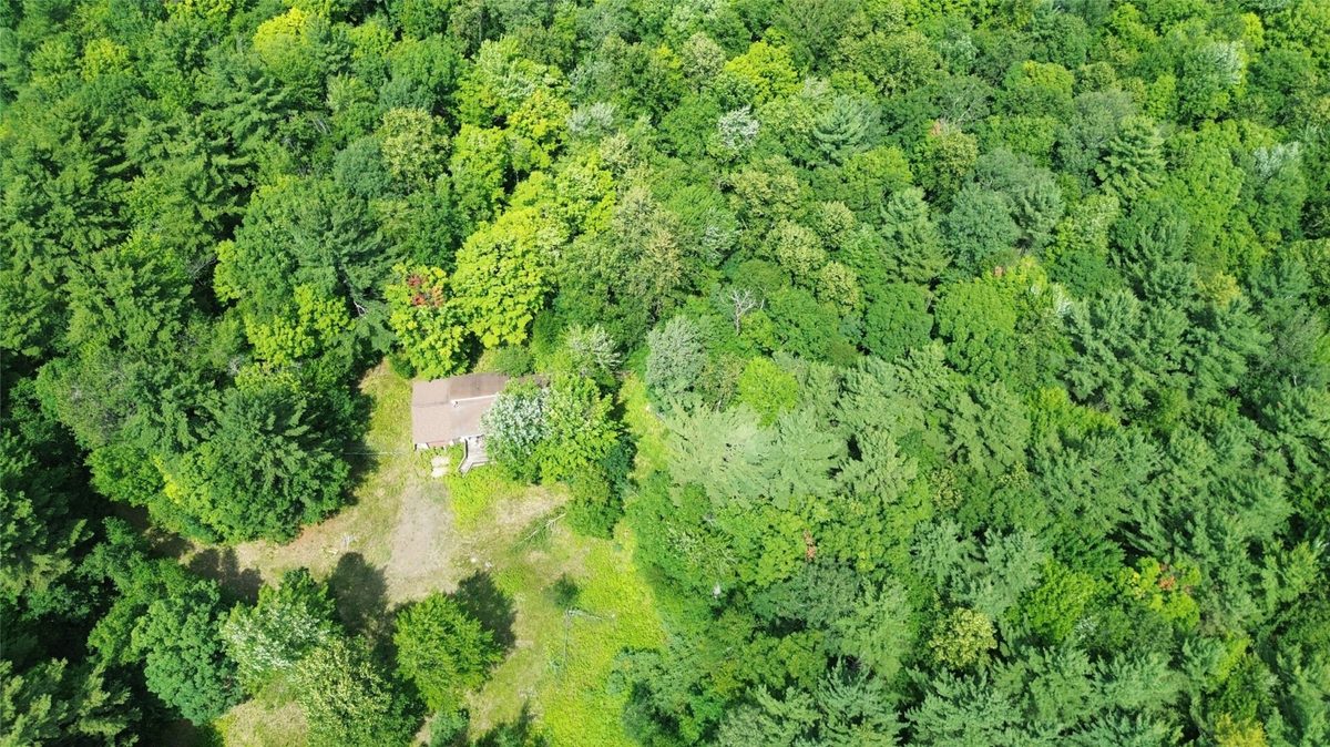 13743W State Highway 77, Hayward WI 54843 - Land house for sale - MLS #1603311 - image5