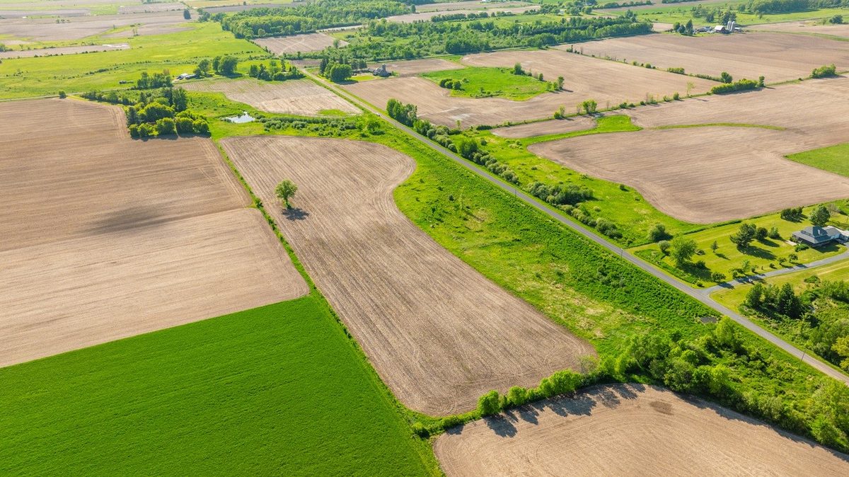 0 Nyes Road, Stanley WI 54768 - Land house for sale - MLS #1601802 - image8