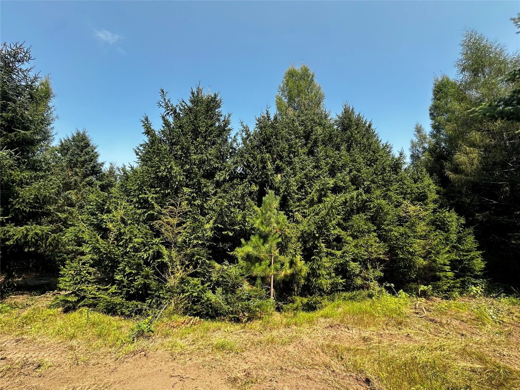 N9679 630th Street, Colfax WI 54730 - Land house for sale - MLS #1604625 - image23