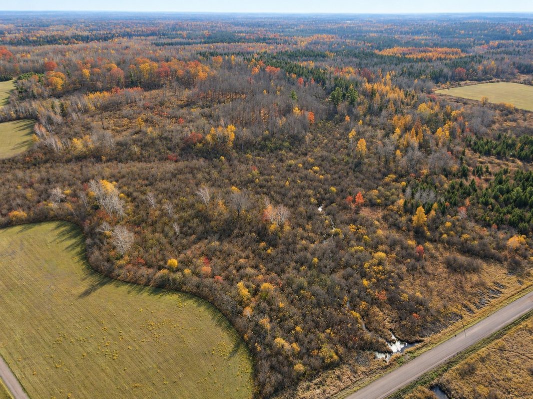 TBD Fedyn Road, Ladysmith WI 54848 - Land house for sale - MLS #1606244 - image4