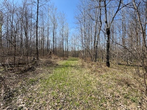 W9793 Dankes Road, Phillips, WI