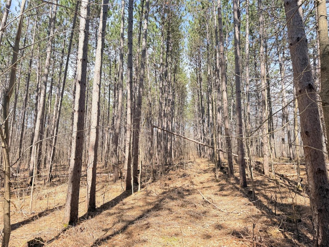 20 Acres Star Lake Road, Rice Lake, WI — photo 35