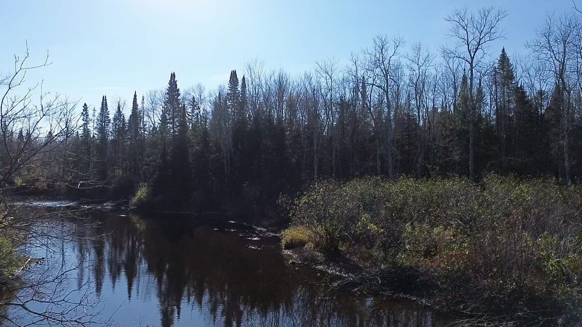 127XX State Highway 70, Couderay WI 54828 - Land house for sale - MLS #1606290 - image4